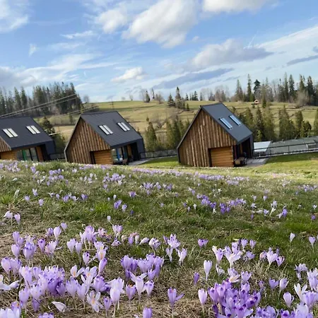 Bystre Domki 1 * Nowe Bystre