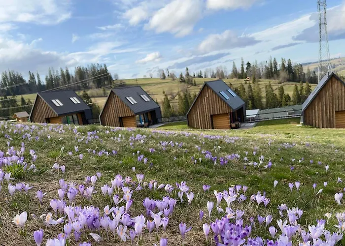 Bystre 1 * Nowe Bystre