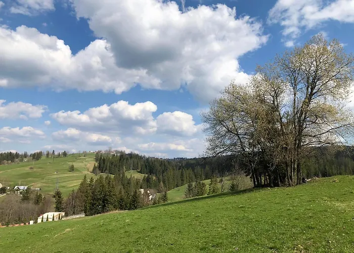 Bystre 1 Nowe Bystre